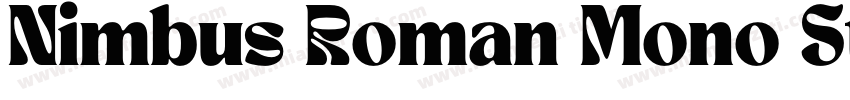 Nimbus Roman Mono Std Regular字体转换